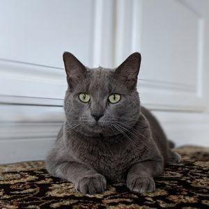 Meet your Posher, Kaila